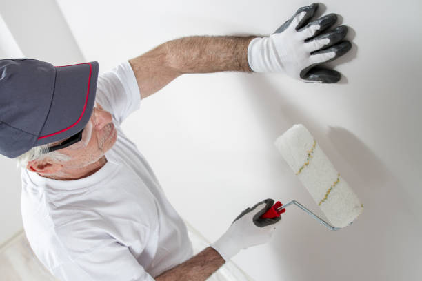 Best Attic Mold Removal  in Spring Valley, WI