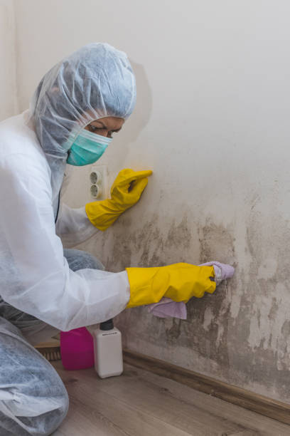 Best Residential Mold Inspection & Testing  in Spring Valley, WI