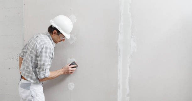 Environmental Consulting for Mold Prevention in Spring Valley, WI
