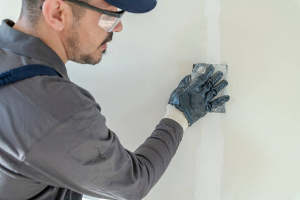 Best Mold Remediation for Vacation Homes  in Spring Valley, WI