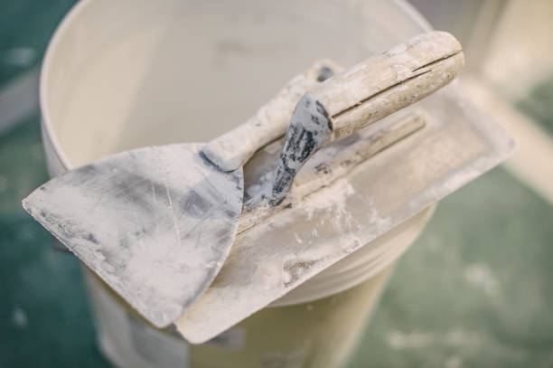 Best Mold Documentation for Insurance Claims  in Spring Valley, WI