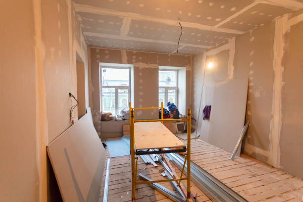 Forensic Mold Investigation in Spring Valley, WI
